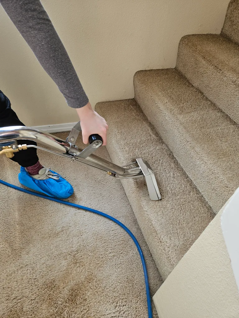 Two Brothers Restoration - Puyallup Cleaning Services