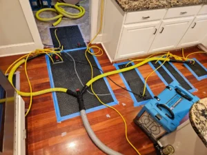 Water Damage Restoration - Puyallup