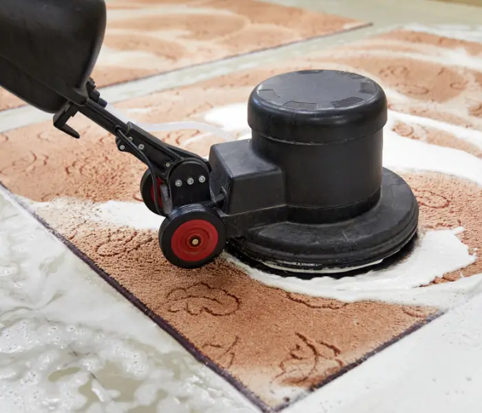 Carpet Cleaning Services in Washington